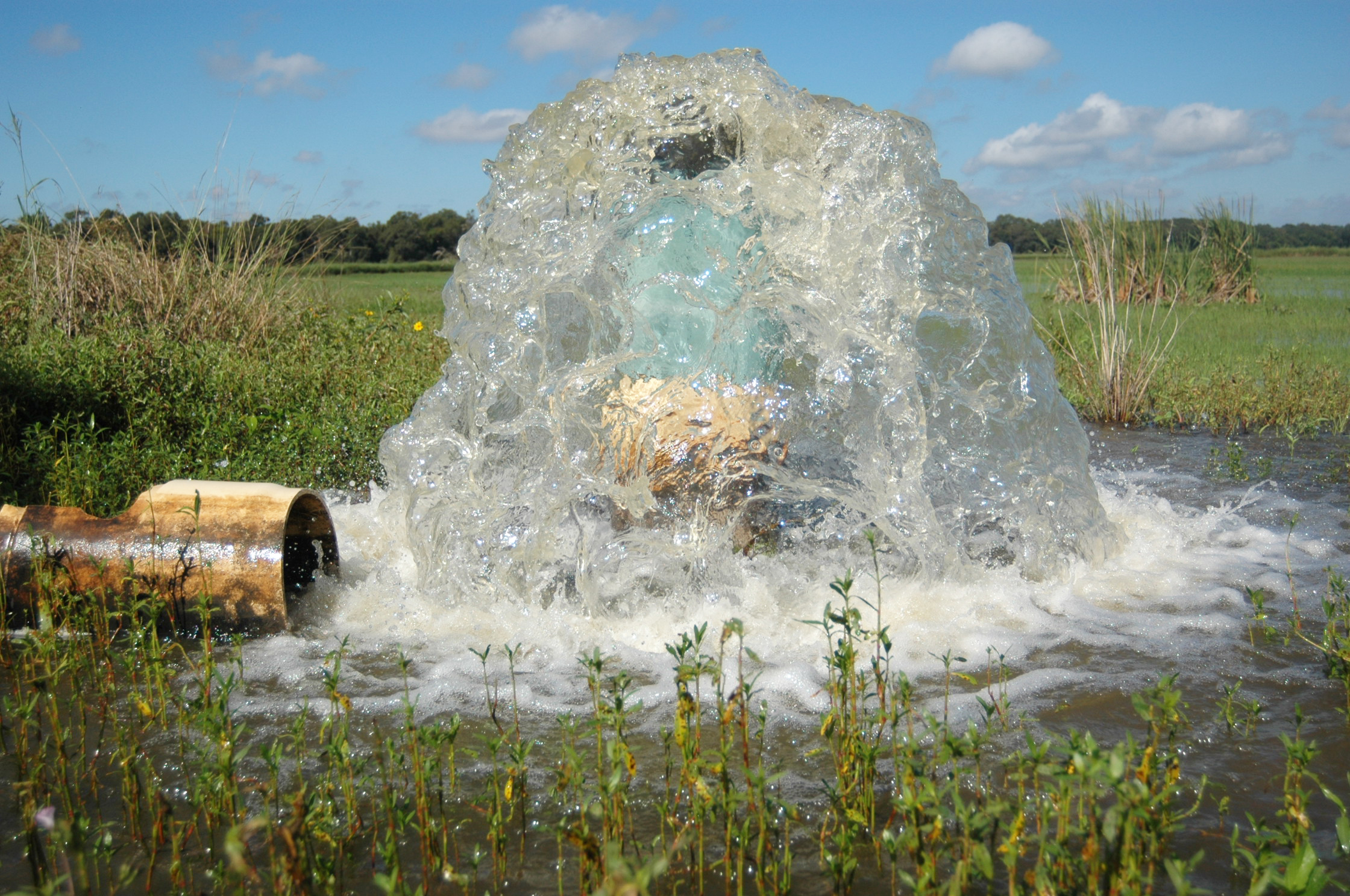 flooding crawfish field.jpg thumbnail